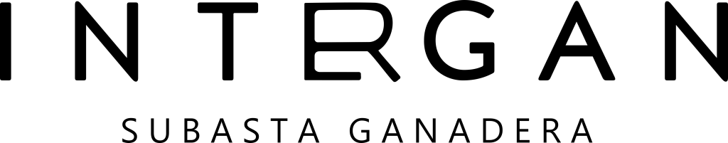 Logo texto